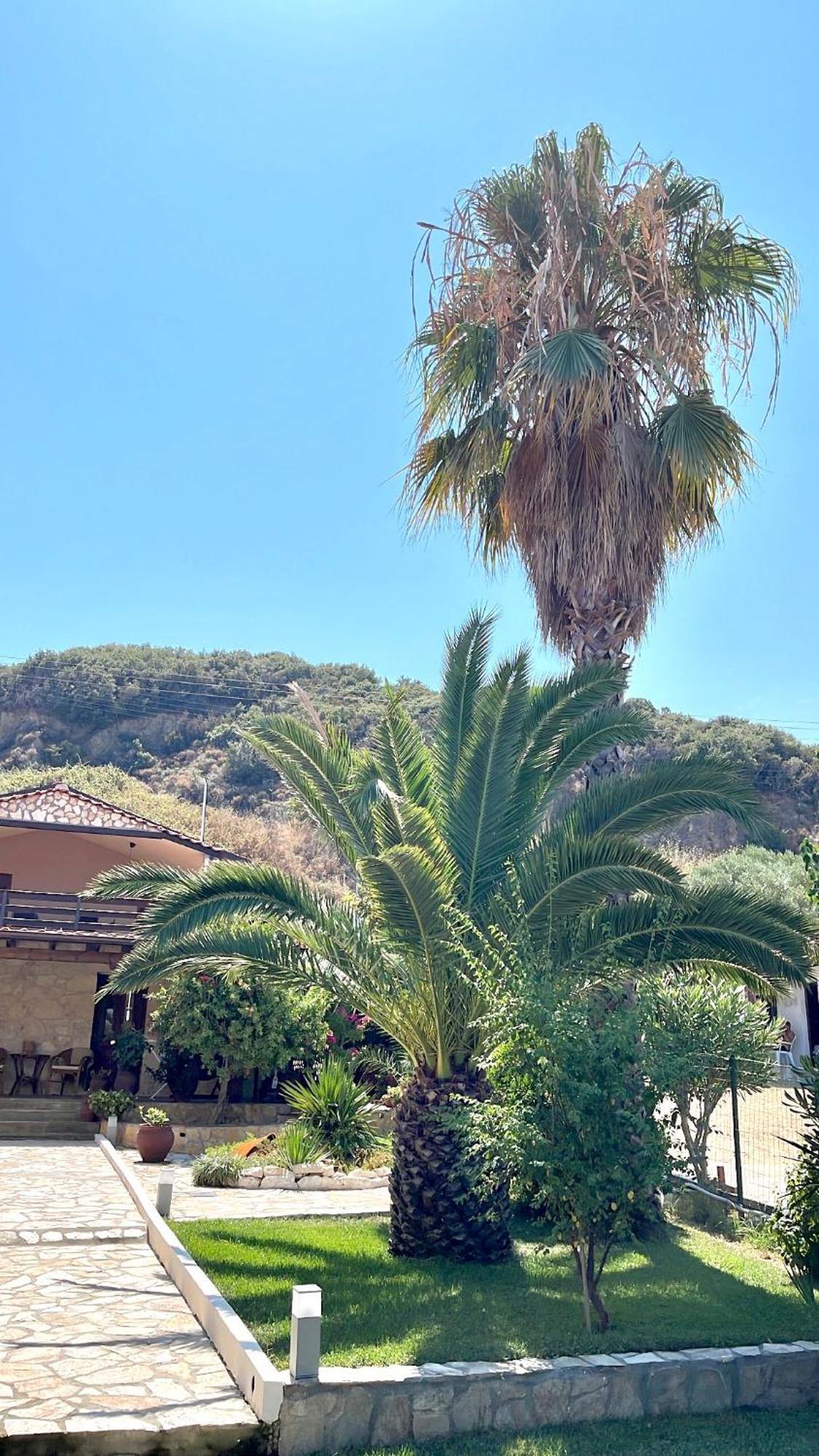 Palma Beach House Сарти Экстерьер фото