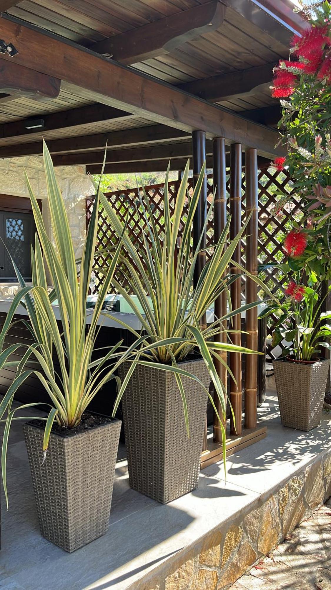 Palma Beach House Сарти Экстерьер фото